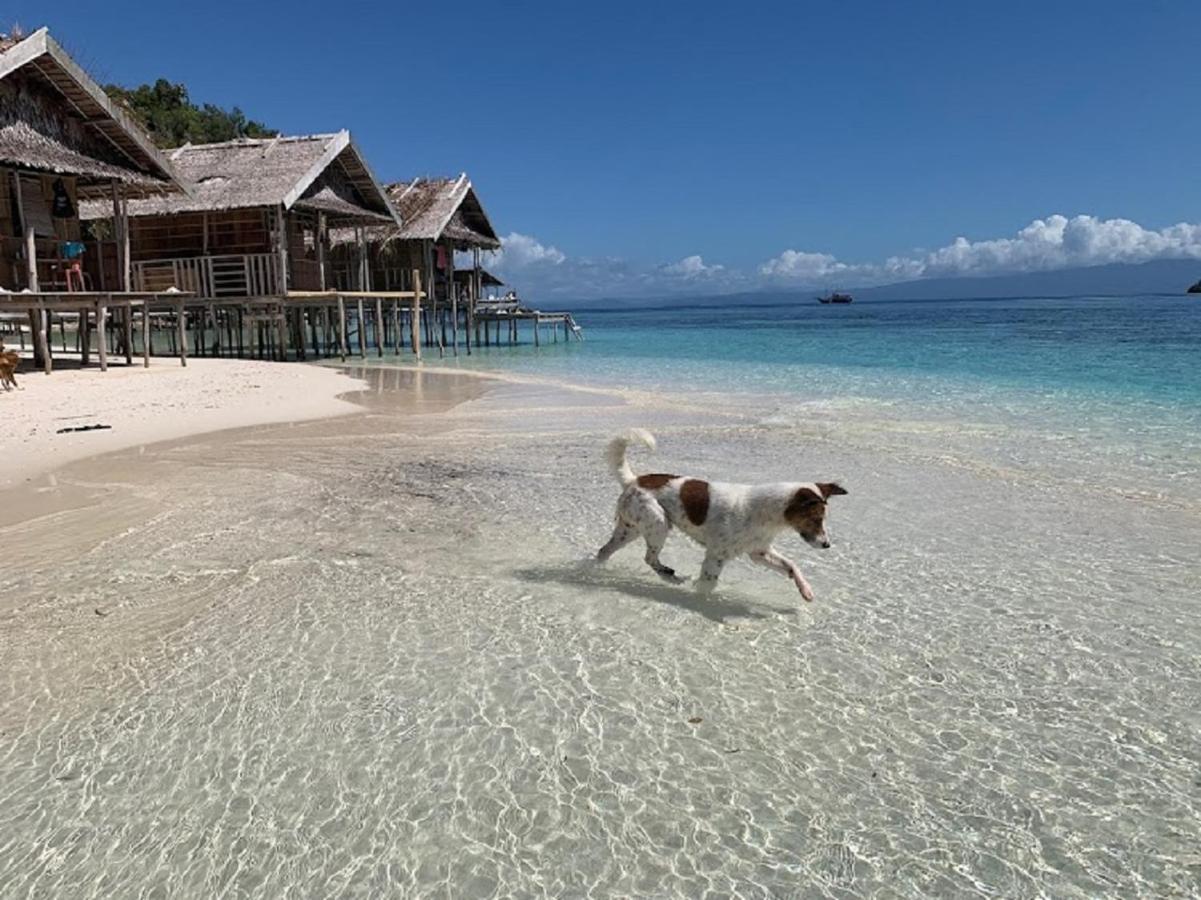 Nus Homestay Raja Ampat Kri Ngoại thất bức ảnh
